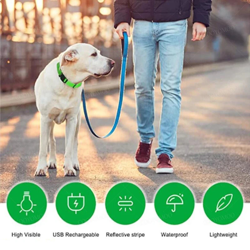 Ce collier innovant assure une meilleure visibilité à votre animal pendant les activités nocturnes. Il dispose de trois modes distincts, vous permettant de personnaliser la lueur selon vos préférences. La capacité de charge USB offre une commodité et élim