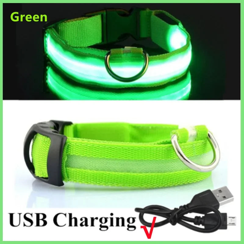 Ce collier innovant assure une meilleure visibilité à votre animal pendant les activités nocturnes. Il dispose de trois modes distincts, vous permettant de personnaliser la lueur selon vos préférences. La capacité de charge USB offre une commodité et élim